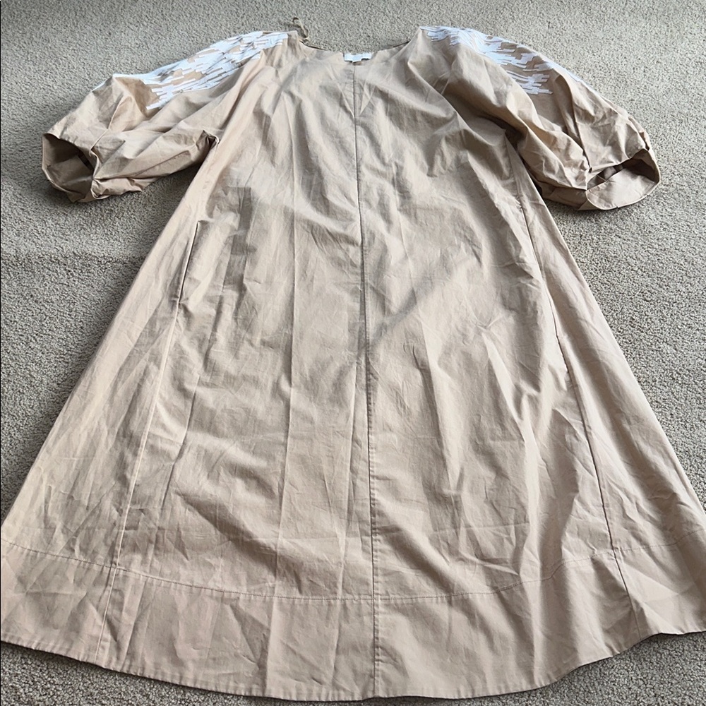 COS Embroidered Puff Sleeve Dress - Picture 5 of 13